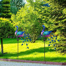 DREAMSOUL Peacock Solar Garden Lights Outdoor Decorative Stake, Waterproof Metal Peacock Garden Decor Solar Powered Landscape LED Path Lights Walkway Patio Decoration Lawn Ornament Christmas Gifts by GreenHaven Gardens