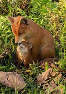 Hi-Line Gift Cuddling Mother and Baby Fox Garden Statue, Brown (87719-I) by GreenHaven Gardens