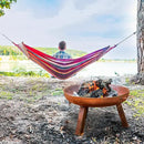 Sunnydaze 24-Inch Cast Iron Heavy-Duty Fire Pit for Outside - Wood-Burning Outdoor Fire Pit Bowl with Handles - Oxidized Finish by GreenHaven Gardens