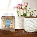 Regional Wildflower - Northeast USA Wildflowers - 100% Pure Seed - Organic, Non-GMO - 21 Wildflower Variety Seeds of Annual & Perennial, 1 LB Tub by GreenHaven Gardens