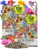 Seed Needs Partial Shade Wildflower Seed Mix for Planting | 2 Packs (1 Ounce Each) 14+ Varieties Open Pollinated Annual & Perennial Species | Flower Seeds Shade Tolerant | Bulk by GreenHaven Gardens