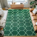 ONASAR Area Rugs for Living Room Bedroom, 5x8 Washable Fluffy Dark Green and White Rug, Geometric Boho Soft Plush Shaggy Fuzzy Floor Carpet for Nursery Kids Girls Boys Teen Dorm Home Decor Aesthetic by TinyTreasures Baby Boutique