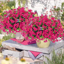‌20 Bundles Artificial Flowers for Outdoors‌ with 6 Faux Butterflies, UV Resistant ‌Fake Flowers‌ with Eucalyptus Leaves, ‌Artificial Plants Outdoor‌ for Patio Garden Porch Home Decor (Rose Red) by CozyNest Decor