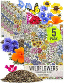 Seed Needs Low Growing Wildflower Flower Seeds for Planting | 5 Packs (1 Ounce Each) Mixture/Blend 17 Varieties | Resealable Package Multicolored Blooms Open Pollinated Mixed Species | Bulk by GreenHaven Gardens