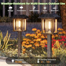 XMCOSY+ Solar Pathway Lights Outdoor Waterproof IP65 - Dual-Tone 25 LM LED Solar Garden Lights for Yard, Glass Outdoor Lighting for Garden Patio Yard Landscape Walkway Driveway Lawn Decor (Warm White) by CozyNest Decor