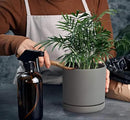 D'vine Dev 8 Inch Ceramic Planter Pot with Drainage Hole and Saucer, Indoor Cylinder Round Planter Pot, Grey, 94-O-D-3 by GreenHaven Gardens