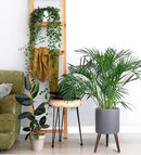 D'vine Dev 10 Inch Planter Pot with Stand, Mid-Century Tall Plant Pot with Legs for Indoor Plants, Medium, Grey, 88-O-B-3 by GreenHaven Gardens