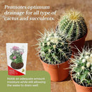 Professional Cactus Soil | Large 2.2 Quarts Ready to Use for Cactus Plants | Peat Moss, Coco Coir, Perlite, Dolomite | Made in USA by GreenHaven Gardens