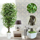 Artificial Ficus Tree 6FT Faux Plants Indoor Tall Fake Plants with White Planter, Green Lifelike Lush Fake Ficus Tree for Home Living Room Bedroom Outdoor Balcony House Office Decor by CozyNest Decor