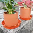 Plant Saucer 6 Inch 4 Pack 6 8 10 12 14 16 18 20 25, Plastic Plant Trays for Pots，Extra-Deep Plant Water Dray Tray, Bird Bath Bowl, Heavy Flower Plant saucers Indoors and Outdoor No Holes 6in-4 red by GreenHaven Gardens