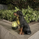 Garden Dog Statues Outdoor Decor, 10.6" Solar Light Dog Statue with Lantern, Puppy Solar Dog Figurine Sculpture for Outdoor Gardens Patio, Lawn, Yard, Housewarming Ornament Gift by GreenHaven Gardens