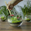 Cute Farms Terrarium Starter Kit | Moss, Vermiculite, Soil, Pebbles, Plant Food, Finishing Tools, Build and Care Guide | DIY Succulent Terrarium for Adults and Kids (Medium) by CozyNest Decor