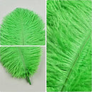 THARAHT Green Ostrich Feathers 12pcs Natural Bulk 10-12Inch 25cm-30cm for Crafts Wedding Party Centerpieces Mardi Gras and Home Decoration Feathers by CozyNest Decor