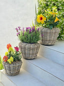 Rattan Kobo Indoor Outdoor Planter Basket with Plastic Pot Small 25-Gallon Soil Capacity by CozyNest Decor