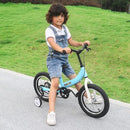 Balance Bike 2 in 1,The Dual Use of a Kids Balance Bike and Toddler Bike, for 2 3 4 5 6 7 Years Old -12 14 16 Inches with Training Theory, Brake, Pedal by TinyTreasures Baby Boutique