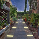 LUMENGY Paver Light 3×9 Inch (2.95 inch X 8.85 inch), Warm White Glare-Free Illumination for Driveways, Pathways, Pool Deck & Patios,12V AC/DC, Waterproof & Drive-Over Rated by CozyNest Decor