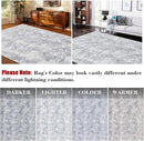 COZYLOOM Area Rug 4x6 Modern Washable Distressed Accent Carpet with Non-Slip Backing, Ultra-Soft Contemporary Geometric Floor Mat for Living Room, Kitchen, Bedroom, Grey by TinyTreasures Baby Boutique