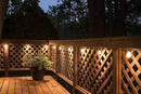 Enbrighten LED Bistro Outdoor String Lights, 48ft, 24 Shatter Resistant Lifetime Bulbs, 2200K Warm White, Weather Resistant, Indoor/Outdoor, Commercial Grade, Perfect for Backyard, Porch, Patio, 38357 by CozyNest Decor