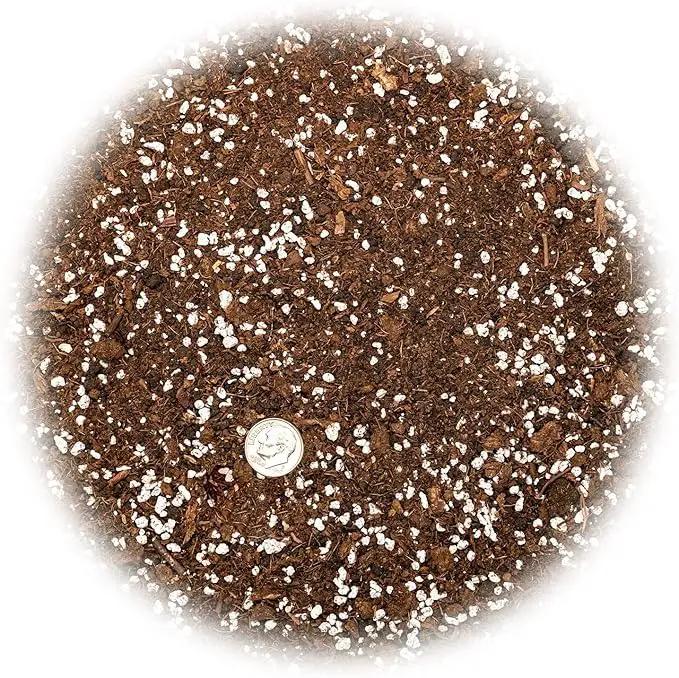 House Plant and Tropical Plant Potting Soil - Re-Potting Soil for All Types of Indoor House Plants - 10 Quart, photo 3 of 5