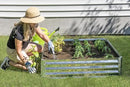 Arrow Sheds GrowIT Galvanized Steel Raised Flower and Plant Bed for The Garden or Greenhouse, 40" x 40" x 11" by GreenHaven Gardens