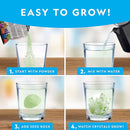 National Geographic Jumbo Crystal Growing Kit - Grow A Giant Glow in The Dark Crystal in a Few Days with This Science Kit, Crystals for Kids (Amazon Exclusive) by TinyTreasures Baby Boutique