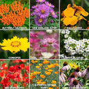 Wildflower Seeds Bulk, 2 Oz. 80,000+ Seeds – Save The Bees Mix with 19 Non-GMO Varieties – Bee Friendly & Pollinator Wildflower Seed for Planting by GreenHaven Gardens