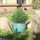 Artificial Topiary Ball Tree 19''T Faux Little Bush Ball Tree UV Resistant Shrub Potted Artificial Plant for Outdoor Indoor Front Porch Garden by GreenHaven Gardens