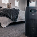 Wyze Air Purifier with Allergen Filter(Standard), for Home Large Room, HEPA 13, 21db Quiet Sleep Mode, 550 sq ft, Remove 99.97% Pet Hair, Pollen, Dust, Dander, Smoke, Smart WiFi Alexa Google, Black by TinyTreasures Baby Boutique