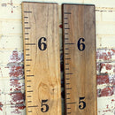 Little Acorns DIY Vinyl Growth Chart Ruler Decal Kit by TinyTreasures Baby Boutique