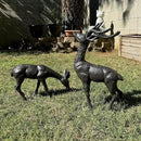 Elegant Pair of Cast Iron Deer Sculptures -22" and 11.4" Tall Male and Female Set for Outdoor Garden Decor, Realistic Animal Statues HC3672-5691 by CozyNest Decor