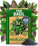 HOME GROWN Thai Basil Seeds Pack - 438 High Germination 𝗡𝗢𝗡-𝗚𝗠𝗢 𝗨𝗦𝗔 Heirloom Herb Seeds for Planting,Ideal for Growing Fresh Basil Planting Indoor or Outdoor(Ocimum basilicum var.thyrsiflora) by GreenHaven Gardens
