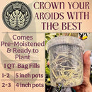 Craft Aroid Potting Mix- Elite Alocasia, Philodendron, Monstera Soil Mix, Chunky, Well Draining Potting Soil for Indoor Plants, All Tropical Plants & Houseplants, Synthetic & Peat Free 1QT by GreenHaven Gardens