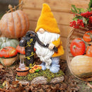 TERESA'S COLLECTIONS Fall Decor, Fall Gnomes Decor, Autumn Garden Gnomes Pumping Water with Solar Lights, Waterproof Resin Outdoor Fall Decor, Fall Gifts Outdoor/Indoor,9" by CozyNest Decor