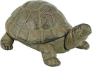 Design Toscano Aesop's Turtle Ornament Garden Tortoise Animal Statue, 10 Inches Wide, Cast Iron, Verdigris Finish by GreenHaven Gardens