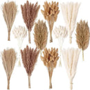 240 PCS Dried Flower Bouquet – Pampas Grass, Floral Decor for Home, Wedding, and Boho Style | Perfect for Vases, Fall, Spring, Summer, and Winter Arrangements by CozyNest Decor