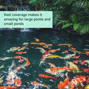 Pond Clarifier - Fish-Friendly Koi Pond Water Clarifier to Quickly Clear Murky Pond Water and Remove Pond Sludge with Natural Enzymes - Fish Pond Water Treatment - AquaDoc Pond Supplies by GreenHaven Gardens