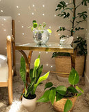 Hanging Disco Ball Planter 8" - with Acrylic Stand and Macrame Plant Hanger - Home Décor, Room Décor, Mirror Disco Planter, Disco Decor (6" with White Hanger, Flat Base) by GreenHaven Gardens