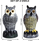 Galashield Owl Decoy to Scare Birds Away | Plastic Owls to Scare Birds Away | Owl Statue for Garden & Outdoors by Galashield [Set of 2] by GreenHaven Gardens