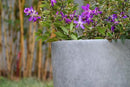 Kante 14 Inch Dia Round Concrete Planter, Indoor Outdoor Large Plant Pot with Drainage Hole and Rubber Plug for Home Patio Garden, Natural Concrete by GreenHaven Gardens
