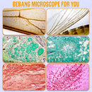 Handheld Portable Pocket Microscope for Kids - BEBANG 135x Mini Lab Kids Microscope with 5 Prepared Slides LED Portable Microbiological Observation Miniscope Tool for Science Exploration by TinyTreasures Baby Boutique