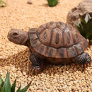 Turtle Statue, Resin Garden Sculpture Indoor/Outdoor Yard Lawn Ornament,Home Decor (Medium)