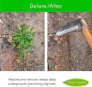 Effortless Weeding: Sharp Sickle Cuts Roots, Saves Time - with Thick Leather Sheath & Sharpening Stone by GreenHaven Gardens