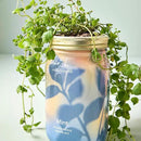 Modern Sprout Mason Garden Jar - Self-Watering Hydroponics Growing System Kit with Organic Herb Seeds - Jar Planter for Indoor Herb Garden - Seed Starter Kit - Home Decor & Gifting - Mint by GreenHaven Gardens
