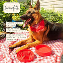 The Slowdown Bowl Silicone Slow Feeder for Dogs & Puppies, Slow Eating, Modern Lick Mat Design, Reduces Gulping, Fits 2 Cups 7.5” Across x 1.5” Tall, Mealtime Challenge, Medium-Cherry by CozyNest Decor