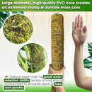 DUSPRO 80 Inches Large Moss Pole for Plants Monstera, Plant Stakes for Indoor Plants, Monstera Plant Support, Plant Support/Plant Pole for Big Climbing Plants Indoor (1pc., 80'') by GreenHaven Gardens