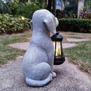 Dog Solar Garden Statues,Resin Dog Figurine Decorations with Solar Lights Lantern, Outdoor Decor Art for Lawn,Yard,Unique Housewarming Gift for Garden Home by GreenHaven Gardens