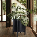 D'vine Dev Planter Pot with Stand - 16 Inch Plastic Cylinder Flower Pot with Wood Planter Holder for Indoor, Matte Black Pot + Ebony Stand, 55-C-Z-2 by GreenHaven Gardens