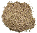 Seed Needs Cat Grass Seeds for Planting 10,000+ Seeds | Arrhenatherum Elatius Easy to Grow Non GMO Untreated | Oat Cat Grass Variety Seeds Great for Indoor Planting | Bulk by GreenHaven Gardens