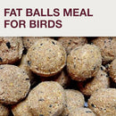 SWISSINNO No Mess Bird Feeder Lucerne Smart Birds for Fat Balls - Feed Birds, not mice & Rats! Robust & Reliable for Hanging - Light Grey by CozyNest Decor