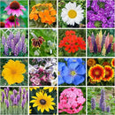 Bulk Wildflower Seed Shaker – Perennial Flower Seeds Mix to Plant Anywhere, by Geva Grow | 20 - Different Type Beautiful Perennial Wildflower Seeds Bulk 900,000+ Seeds, 1 Pound Tub by GreenHaven Gardens